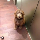 37e3808047553cedb34daa9b1d7ab2a3-170x170